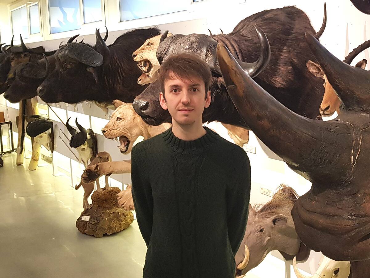 Un leonés para explicar la extinción de los dinosaurios