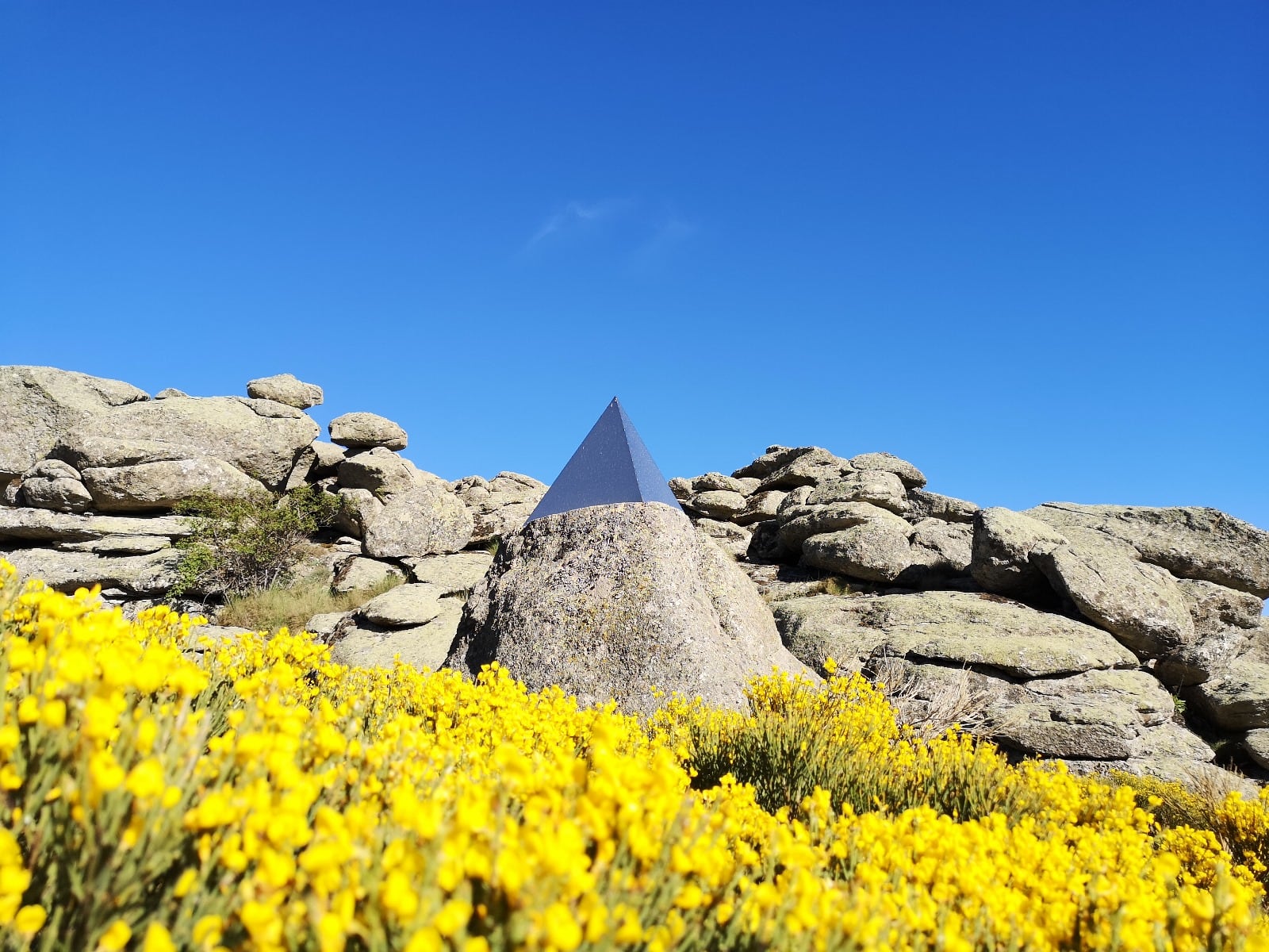 Solsticio protector de Rocío Arregui