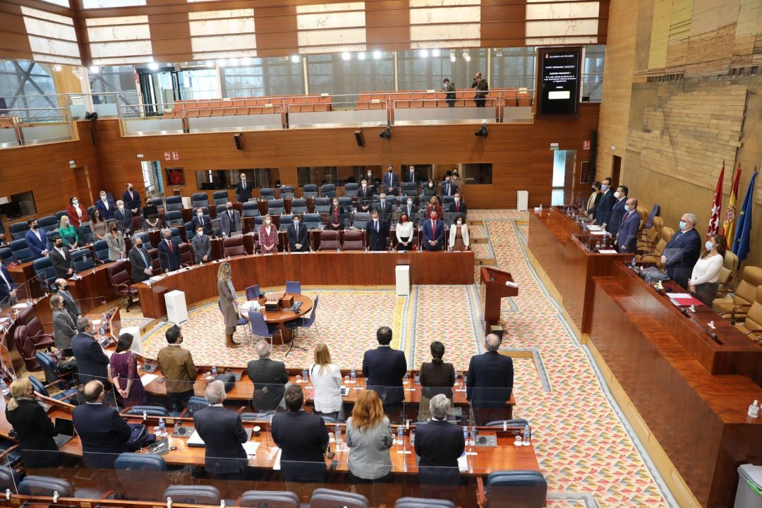 Vista general del pleno de la Asamblea de Madrid.