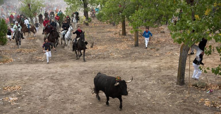 Celebración del Torneo del Toro de la Vega en septiembre de 2015