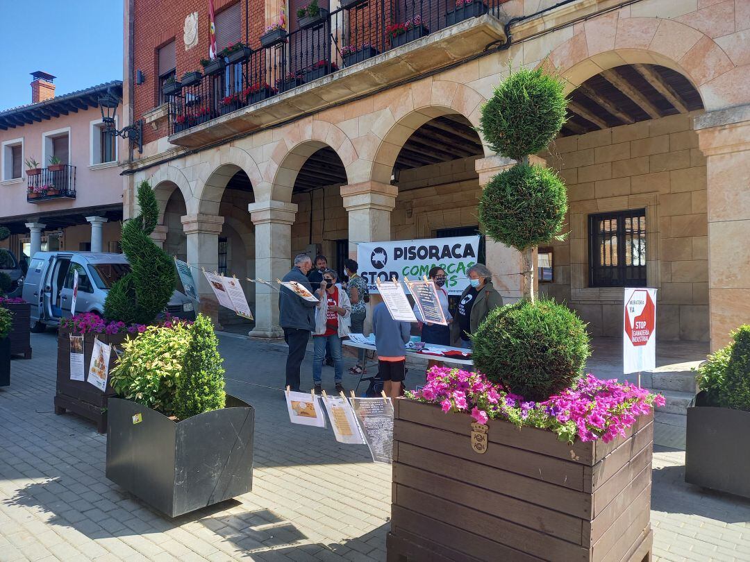 Pisoraca Comarcas Vivas sigue movilizándose contra las macrogranjas porcinas