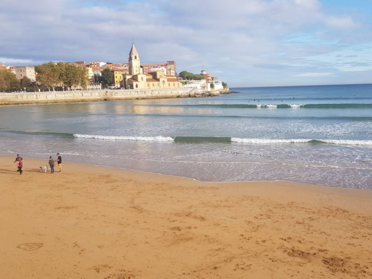 "Habrá más transparencia y participación que nunca", dice Martín sobre la playa