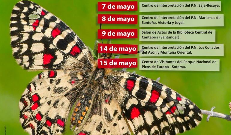 Programa seguimiento mariposas.