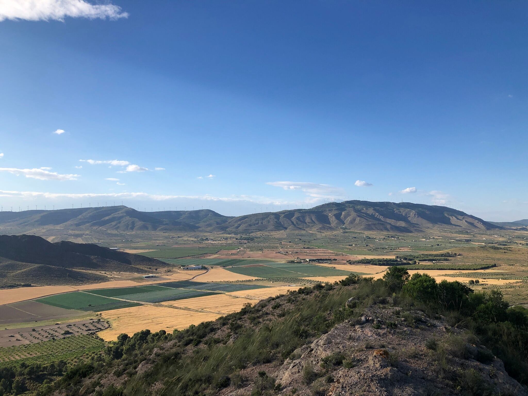 Paisaje del termino municipal de Caudete