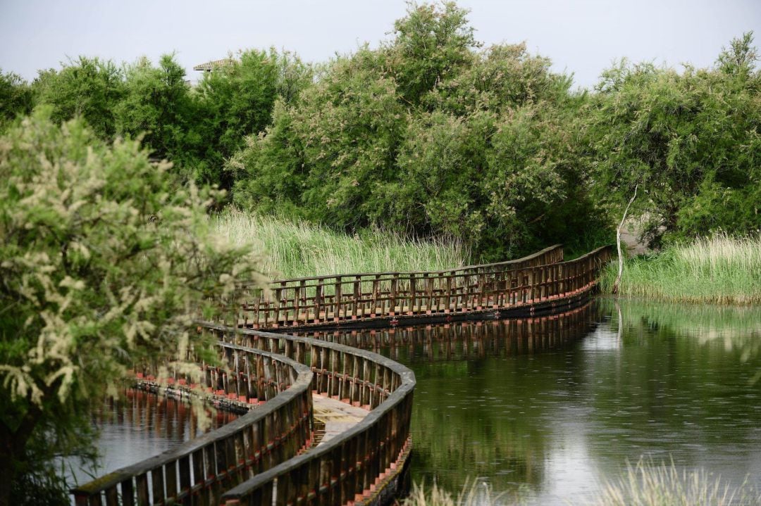 Las Tablas de Daimiel es uno de los dos Parques Nacionales con los que cuenta Ciudad Real