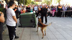 Momento de la exhibición canina de búsqueda y rescate