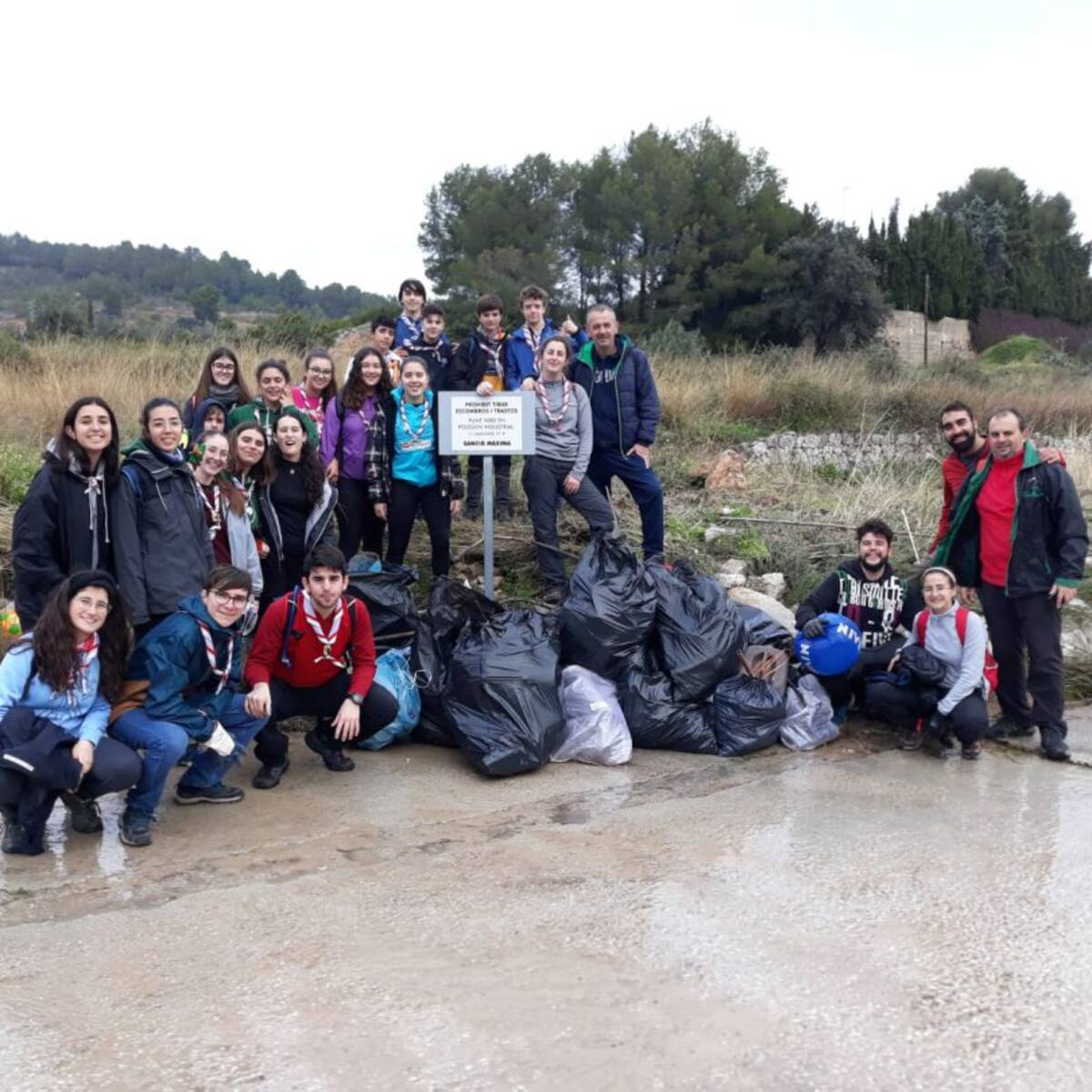 Un grupo de jóvenes limpia de basura un pinar de Villalonga