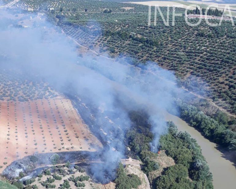 Imagen tomada del incendio forestal de Montoro, ayer por la tarde.