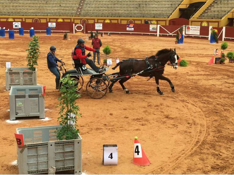 Concurso de enganches celebrado recientemente en la Plaza de Toros de Algeciras