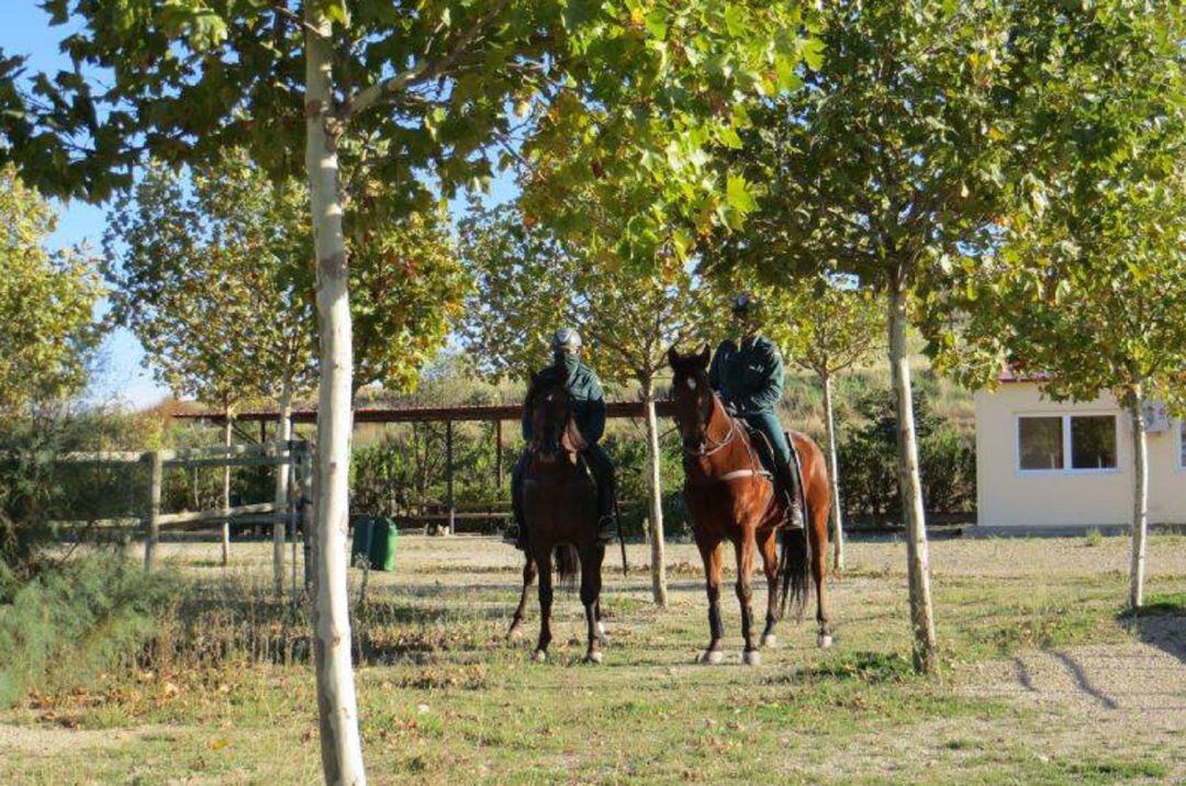 Dos agentes de un Grupo ROCA de la Guardia Civil en una batida en la comarca de Cinco Villas en 2014 (Archivo)