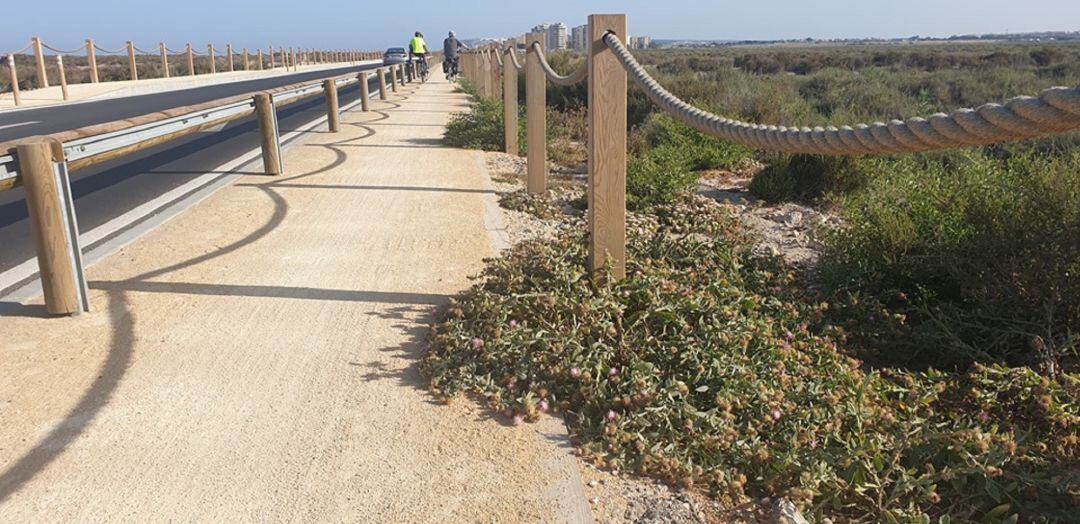 Carril bici de Urbanova con vegetación invadiendo la zona ciclable