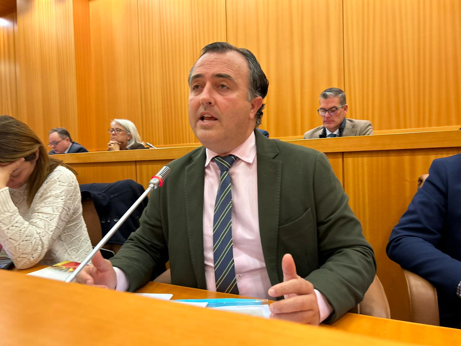 David Moreno, portavoz de Vox en el pleno de Talavera