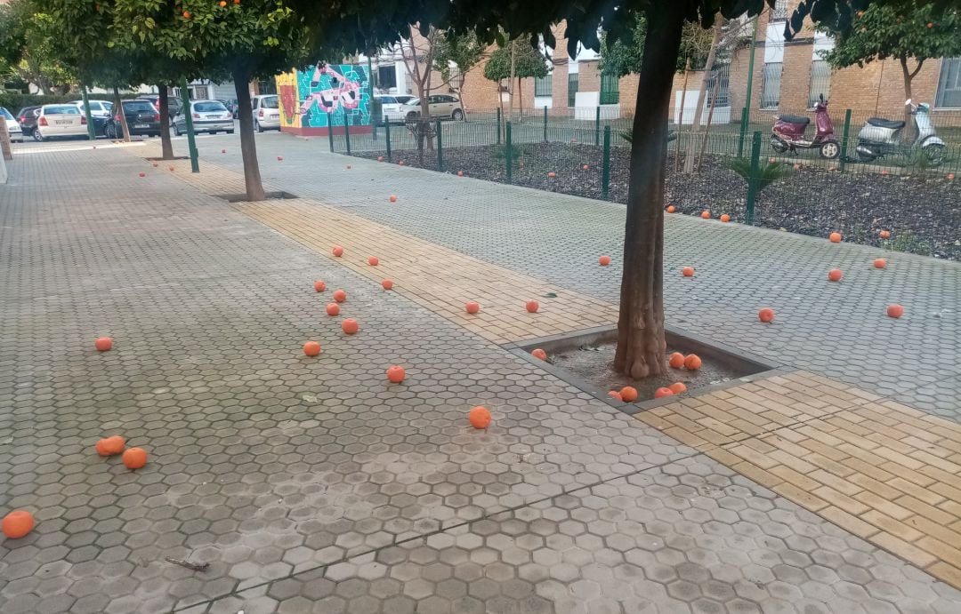 Esta imagen está siendo habitual en los últimos días en muchas calles de la ciudad