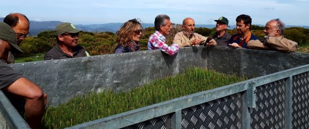 El delegado territorial de la Junta, José Francisco Hernández, y la responable de Medio Ambiente, Rosa San Segundo, supervisan la plantación de pinos en Navarredonda de Gredos
