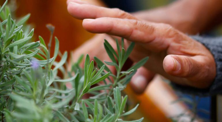 Los jardines sensoriales llegan a Hermanas Hospitalarias de Palencia