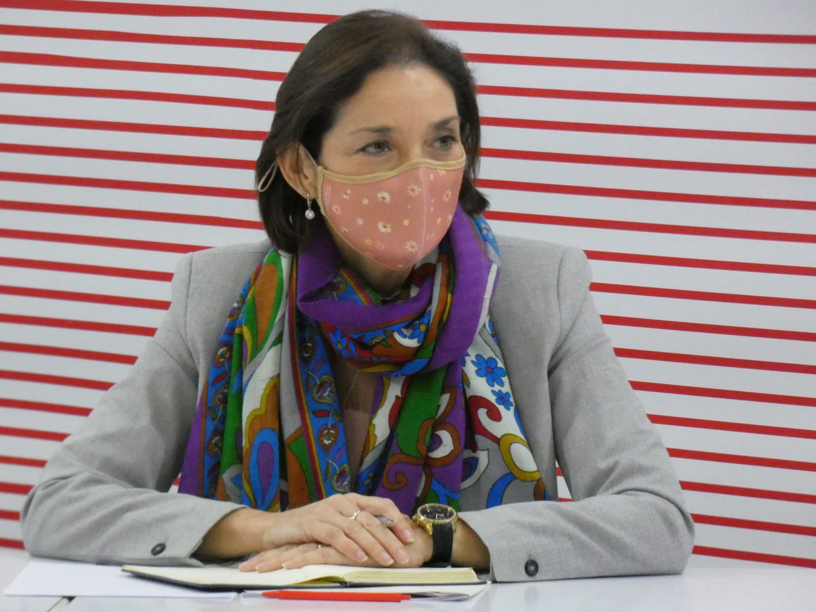 La ministra de Industria, Reyes Maroto, durante la reunión celebrada en la sede del PSOE de Ávila