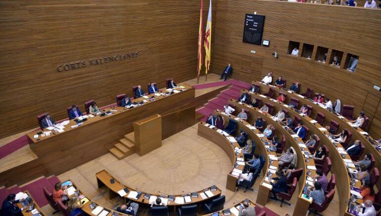 Pleno de les Corts