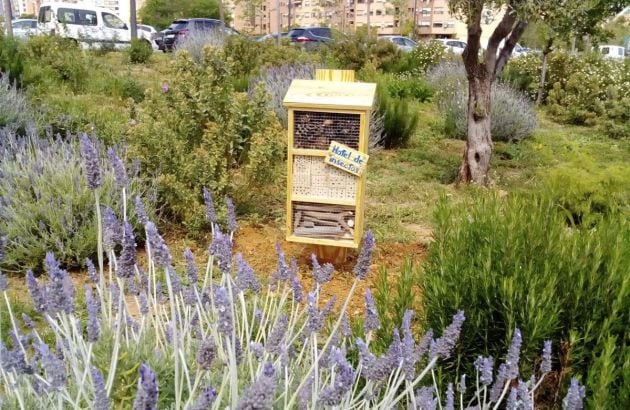 Islas de biodiversidad en Valencia