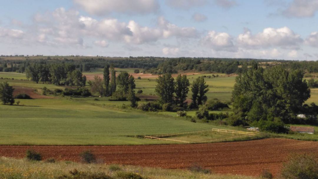 Finca en la provincia de Guadalajara