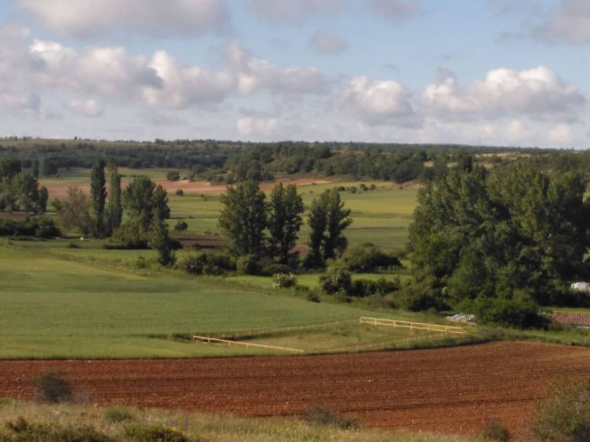 Un estafador alquilaba falsos cotos de caza en Guadalajara