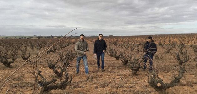 Bodegas Ponce tiene los viñedos en Villanueva de la Jara e Iniesta (Cuenca).