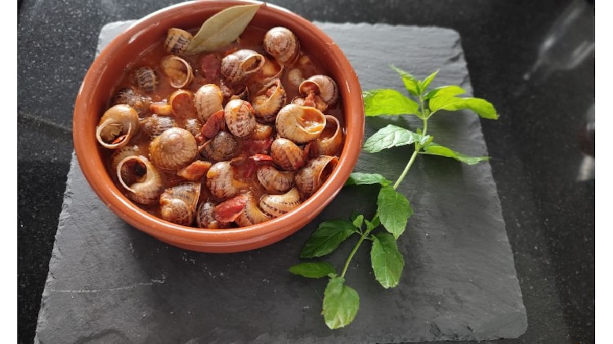 De la granja a la mesa: caracoles gourmet criados en la Mancha de Cuenca