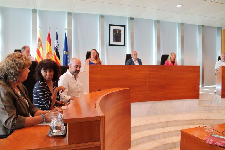 Pleno del Consell