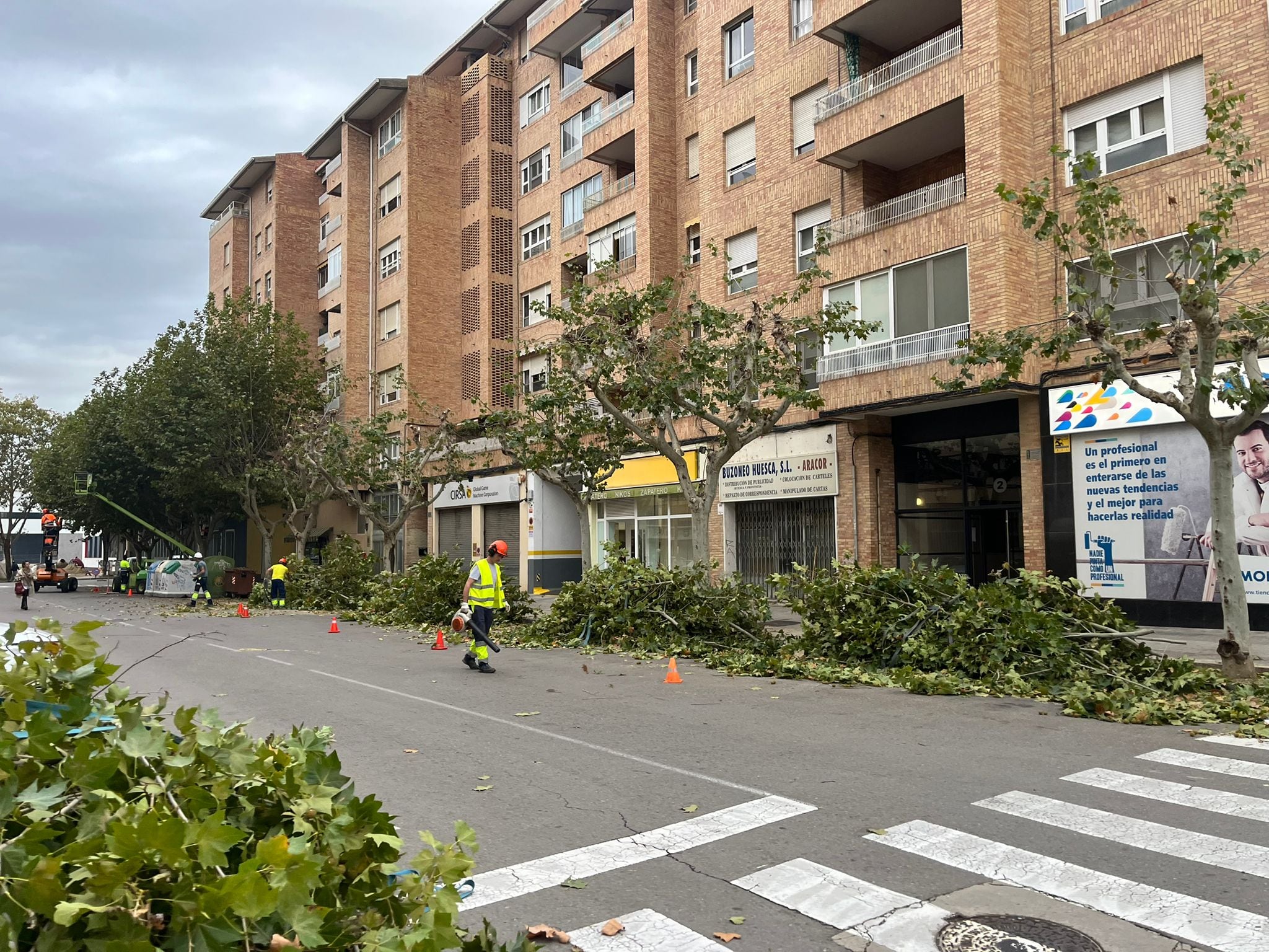 Labores de poda de árboles en el entorno de la calle Fuente del Ángel en Huesca