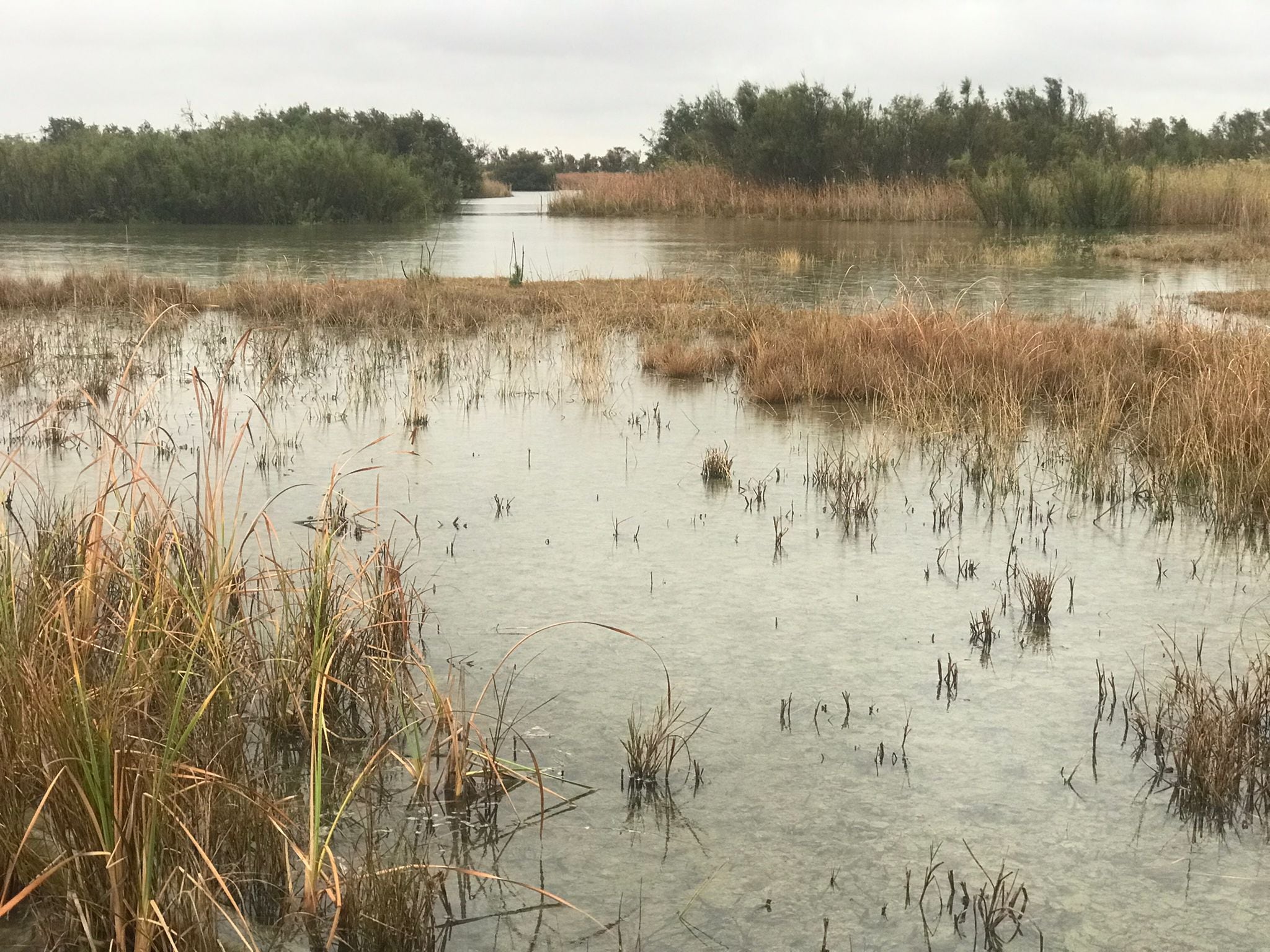 Laguna Centro Visitantes José Antonio Valverde (Doñana) (Foto del Espacio Natural en Facebook)