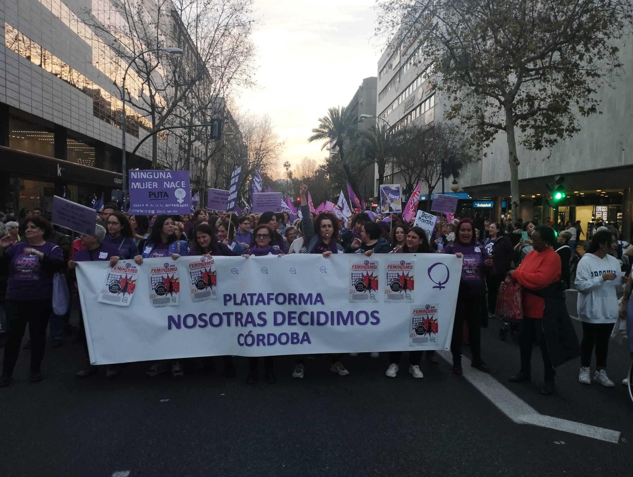 Manifestación del 8M en Córdoba, a su pado por ronda de los Tejares.