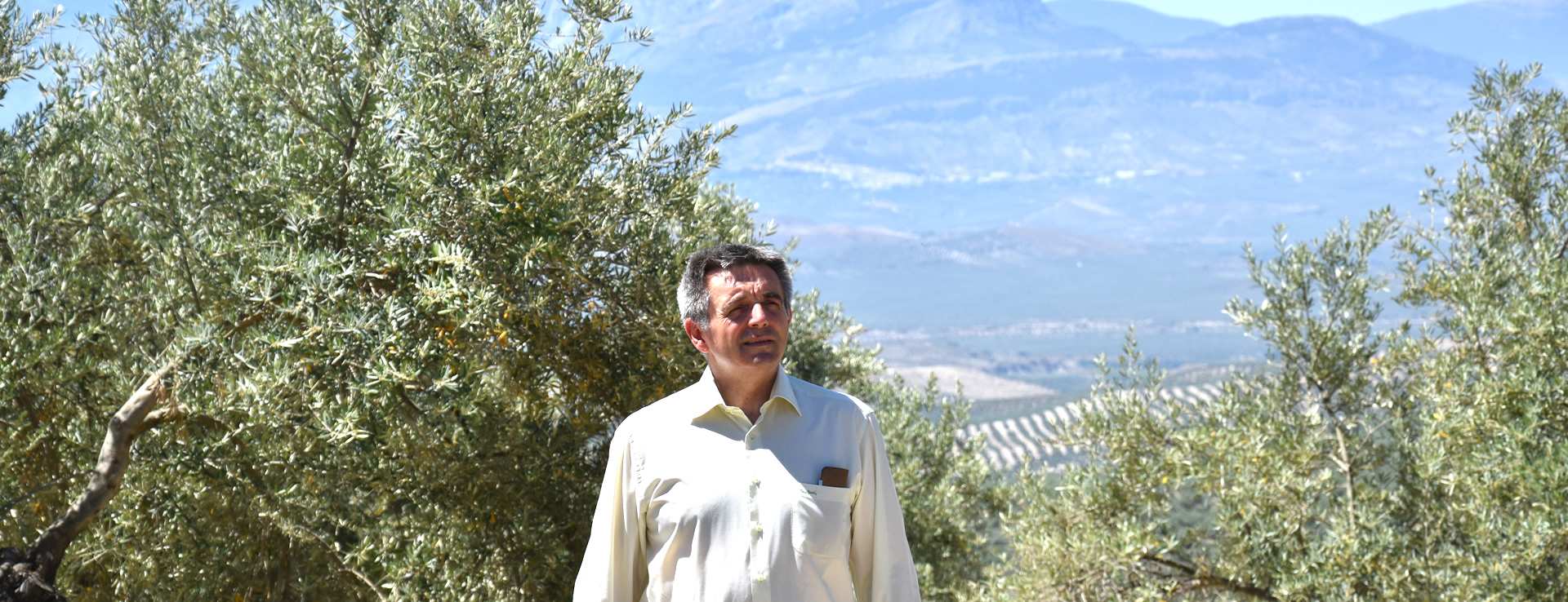 José Vico Lizana, tercer premio AEMO AEMO a la Difusión de la Cultura del Olivo