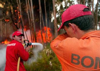 En Portugal, los incendios de este verano han acabado con el 3% de la masa forestal del país. Los bomberos soportan altísimas temperaturas en el lugar del siniestro, no podiendo mirar directamente al fuego. (REUTERS)
