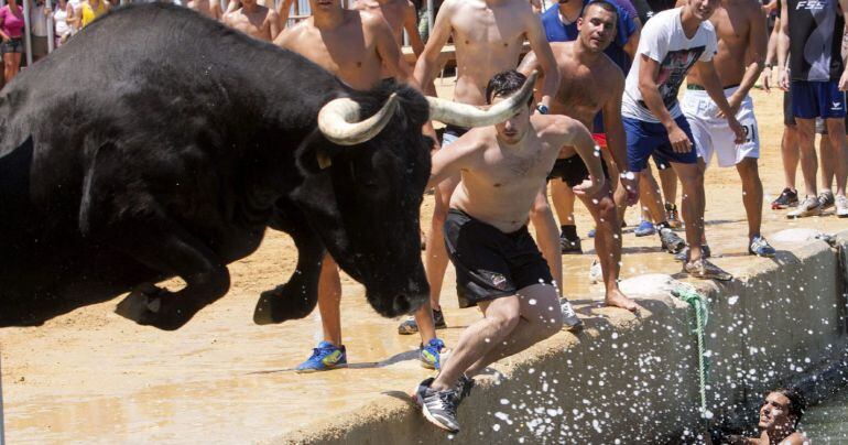 -FOTODELDIA- GRA288. DÉNIA, 10/07/2015.- Varias personas miran exaltantes como cae al agua el toro durante la celebración de uno de los festejos tradicionales &quot;Bous a la mar&quot;, declarada fiesta de interés turístico local. Lo pintoresco de esta tradición es que los participantes deben tratar que las vaquillas caigan al agua. EFE/Natxo Francés