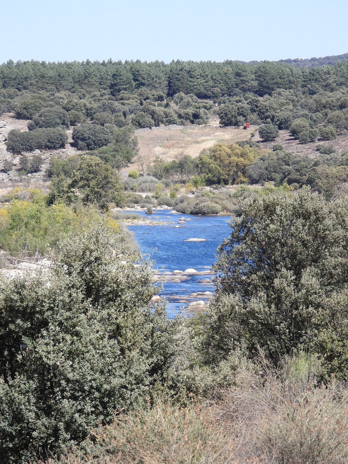 Río Tormes desde la ruta