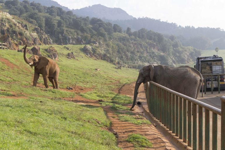 El Parque de la Naturaleza de Cabárceno se ha convertido en uno de los principales motores turísticos de Cantabria.