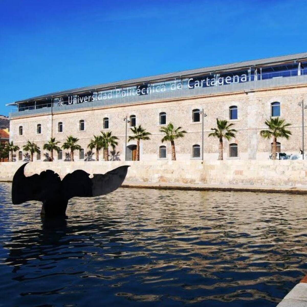 El PSOE de Cartagena reclama medidas para fomentar la movilidad entre los alumnos de la UPCT