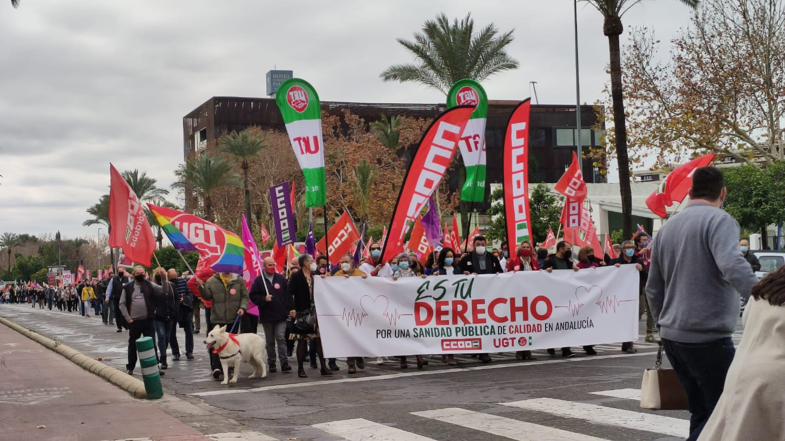 Manifestación por la sanidad pública en Córdoba
