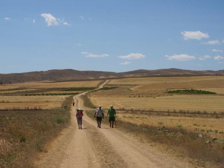 Peregrinos en La Moraña