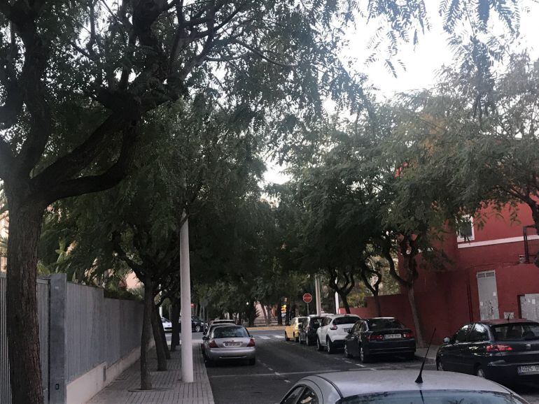 calle Pediatra Andrés Brú