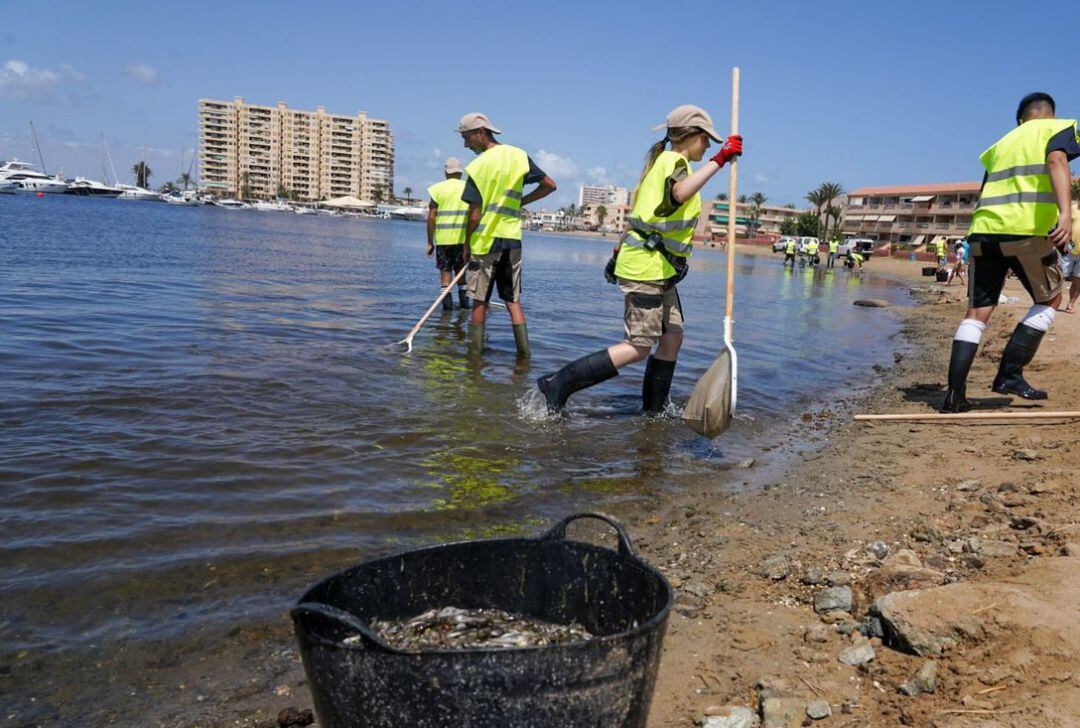 Operarios retirando peces muertos hace unos días