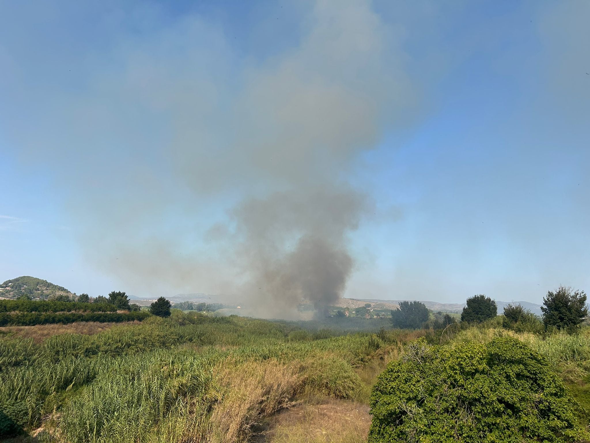 Incendio declarado en Xàtiva (12/08/2025) (Fuente: Ràdio Xàtiva SER)
