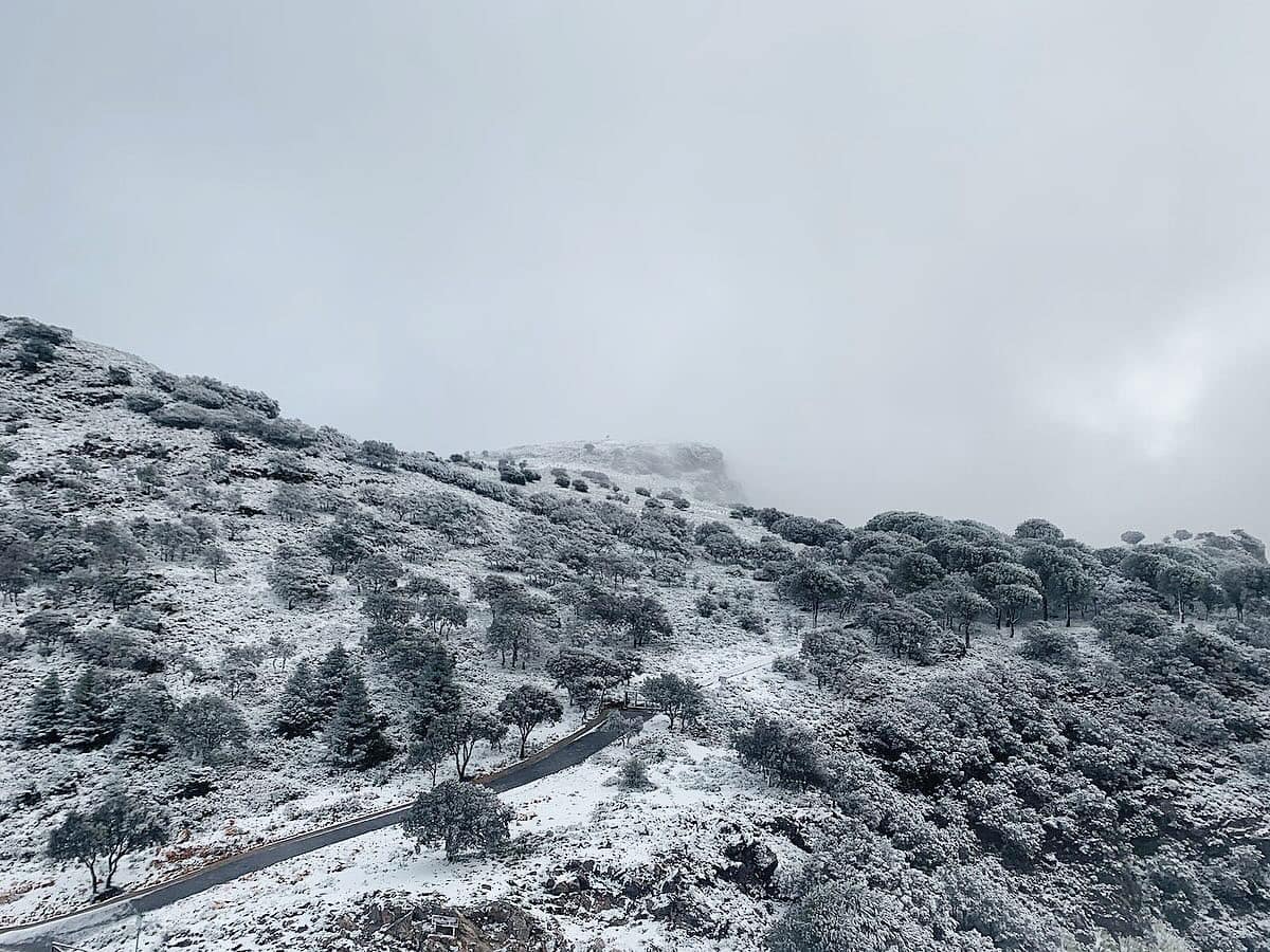 Imagen de la nieve en las zonas montañosas de Grazalema