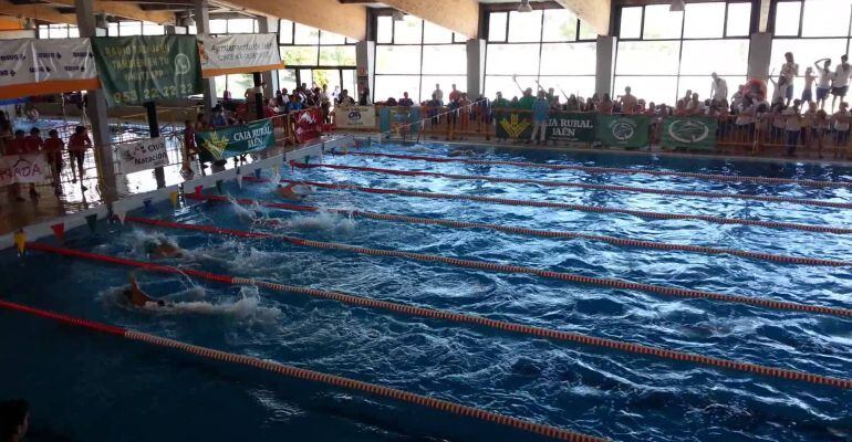 Una de las pruebas del Trofeo del Club Natación Jaén celebrada en años anteriores.