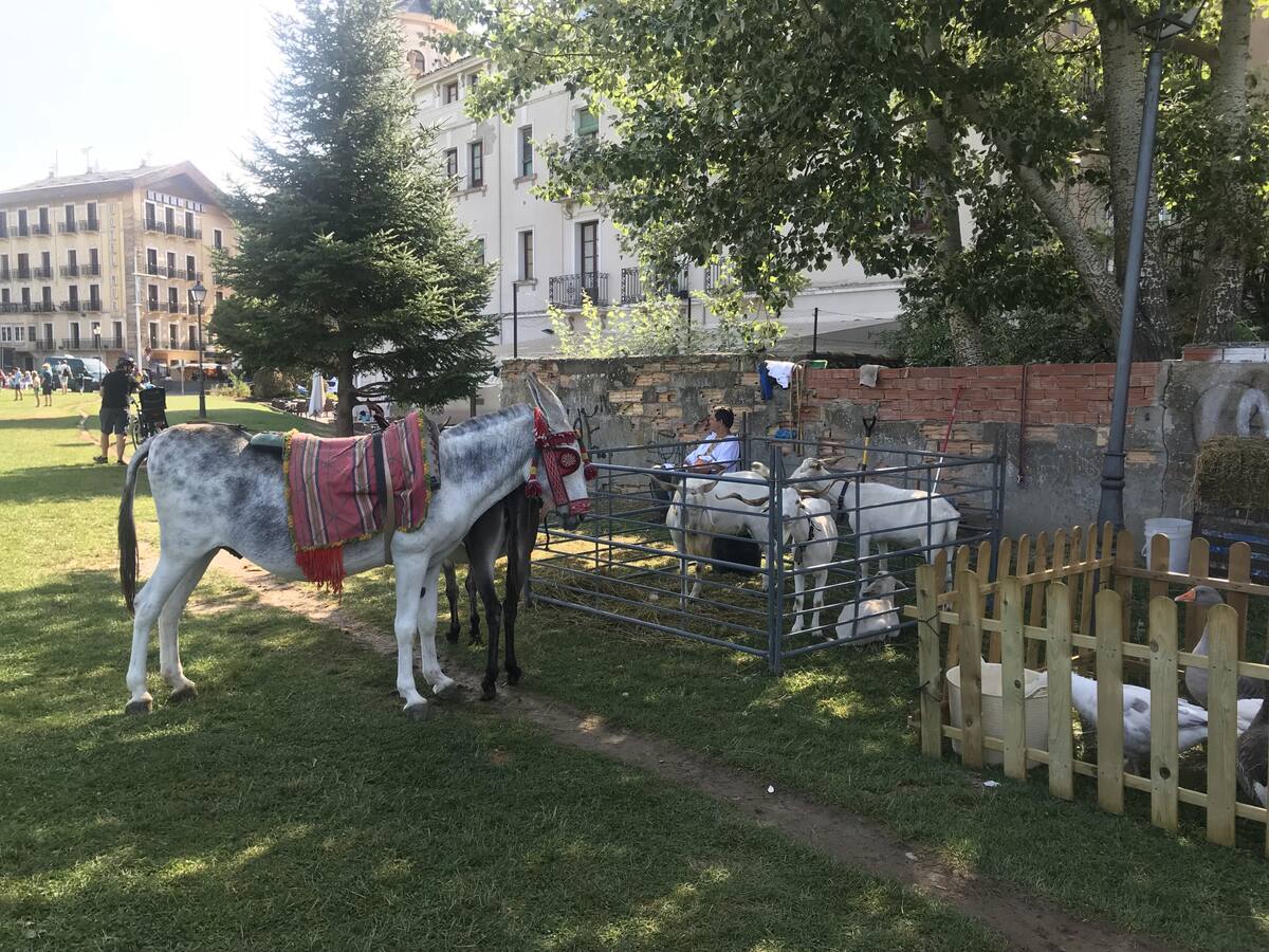 Consumidores y vendedores hacen balance económico del Mercado Medieval de Jaca