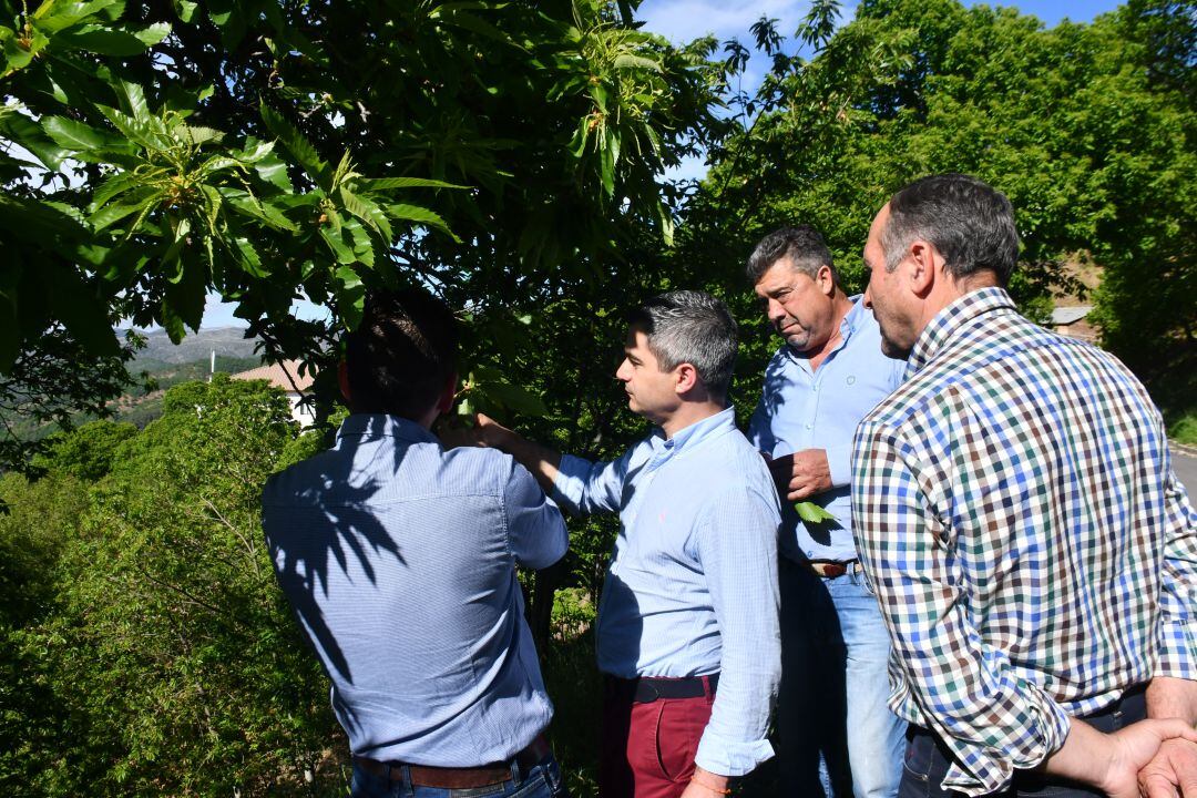 Alcaldes del Valle del Genal en el entorno de Pujerra