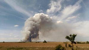 Primeras imágenes de la columna de humo generada por el incendio