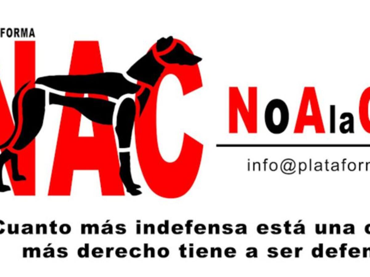 Un centenar de personas piden en Donostia que se ponga fin a la caza