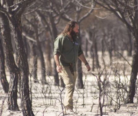 Bosque devastado por el fuego