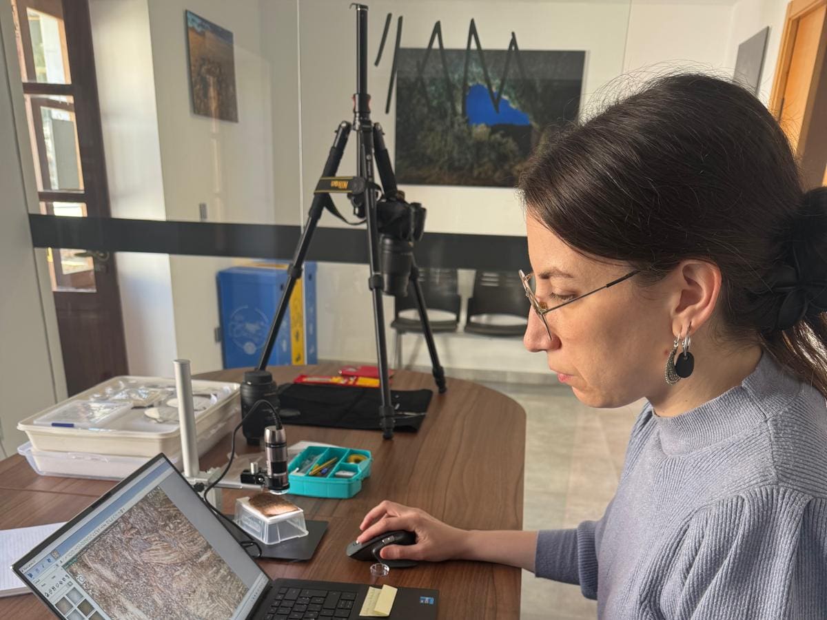 El antepasado del hilo de coser: Hojas de palma o juncos como herramientas de confección de los aborígenes canarios