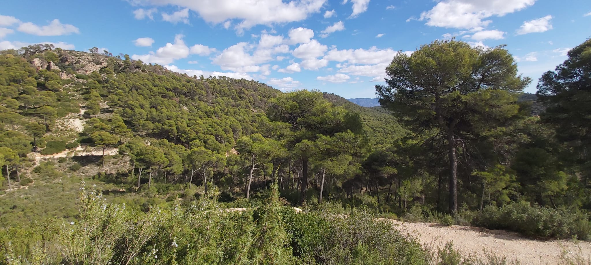 Imagen de archivo de Sierra Espuña